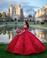Sparkly Sequin Prom Dresses Long Ball Gown Off Shoulder Quinceanera Dresses Puffy Glitter Evening Party Dresses - Bmbride
